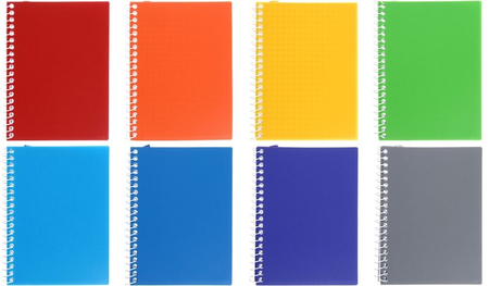 Книжка записная на спирали Economix, 90*120 мм, 60 л., клетка, ассорти (цена за 1 шт.)