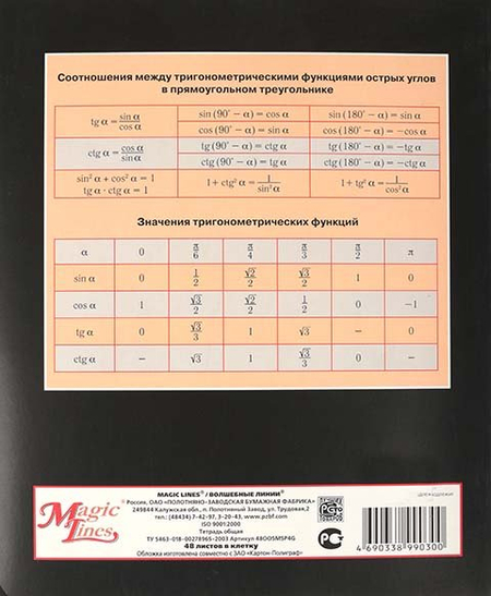 Тетрадь предметная А5, 48 л. на скобе «Предметная тетрадь», 170*205 мм, клетка, «Геометрия+Футбол»