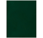 Тетрадь общая А4, 96 л. на скобе BG, 200×270 мм, клетка, зеленая