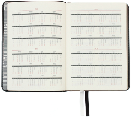 Ежедневник датированный на 2026 год Berlingo Silver Pristine (А6), 110*160 мм, 184 л., черный