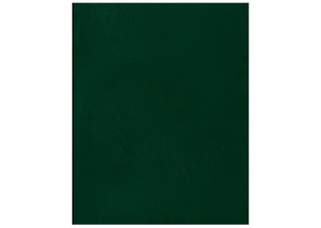 Тетрадь общая А5, 96 л. на скобе BG, 160×202 мм, клетка, зеленая