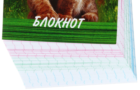 Блокнот на склейке «Тигрёнок», 65*100 мм, 48 л., клетка, ассорти
