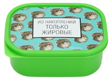 Ланч-бокс прямоугольный Sima Land, 0,5 л, «Накопления» Ланч-бокс прямоугольный Sima Land, 0,5 л, «Накопления»