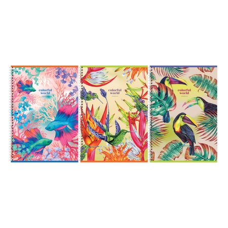 Тетрадь общая А4, 80 л. на гребне BG Colorful World, 205*295 мм, клетка, ассорти
