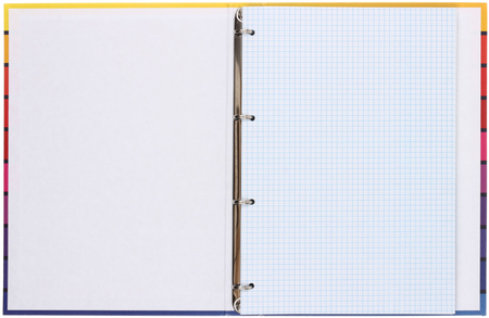 Тетрадь общая А4, 100 л. на кольцах ArtSpace «Узоры», 225*302 мм, клетка, Vibrant gradient