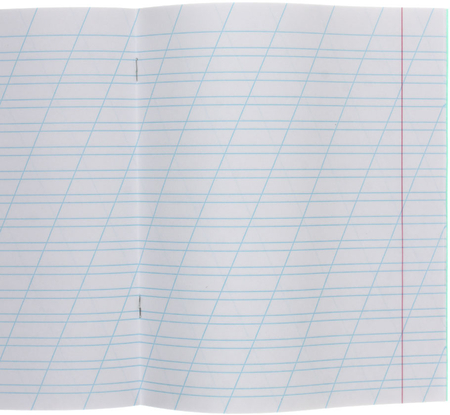 Тетрадь школьная А5, 12 л. на скобе «Тетрадофф», 165*205 мм, косая линия, зеленая