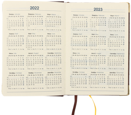 Ежедневник датированный на 2022 год Business Premium (А5), 145*210 мм, 176 л., Impact, темно-коричневый