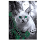 Ежедневник недатированный А5 «Зеленоглазый кот», 148×206 мм, 80 л., линия