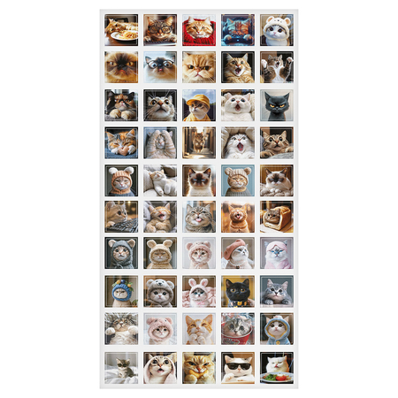 Набор наклеек ПВХ Meshu, 5*5 см, 100 шт., Cats, ассорти