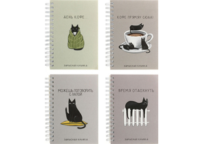 Книжка записная на гребне BG (А6), 100×145 мм, 120 л., клетка, «Сделай паузу», ассорти