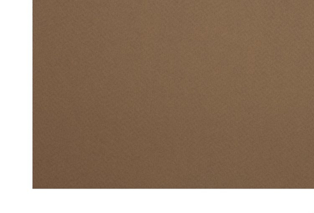 Бумага цветная для пастели двусторонняя Murano, 500*650 мм, 160 г/м2, кофе