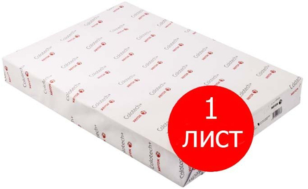 Бумага офисная Xerox Colotech+ Uncoated (без покрытия), SRА3 (450*320 мм), 220 г/м2 (цена за 1 лист)