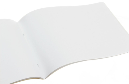 Альбом для рисования А4 «Экзотические цветы», 40 л. 