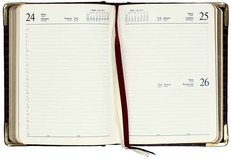 Ежедневник датированный на 2016 год Iguana, 110*145 мм, 176 л., бордовый