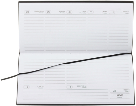 Планинг датированный на 2023 год Radiant, 230*105 мм, 64 л., черный