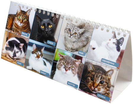 «Календарь хорошего человека» на 2026 год «Домик», 210*100 мм (благотворительный)