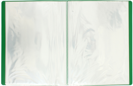 Папка пластиковая на 40 файлов «Бюрократ», толщина пластика 0,65 мм, зеленая