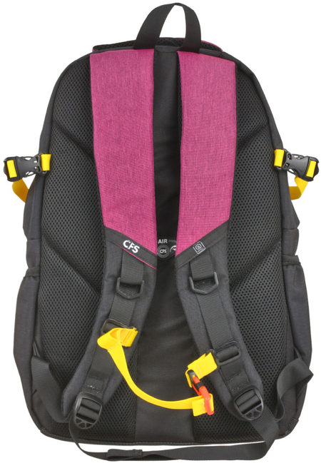 Рюкзак молодежный CFS 19,5", 460*310*140 мм, черно-розовый