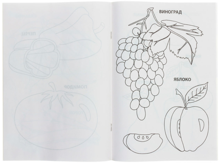 Тетрадь для раскрашивания «Овощи, ягоды и фрукты», 8 листов