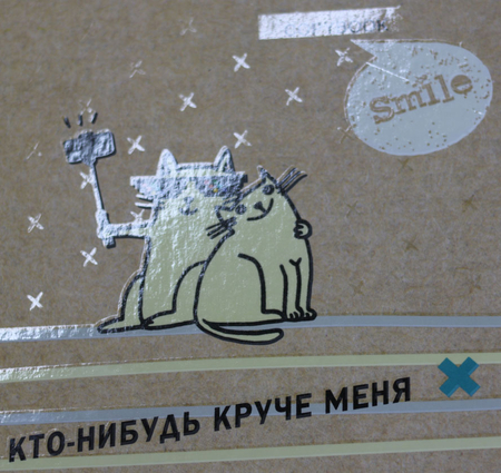 Тетрадь общая А5, 200 л. на кольцах BG «Круче меня - нет!», 165*215 мм, клетка Тетрадь общая А5, 200 л. на кольцах BG «Круче меня - нет!», 165*215 мм, клетка