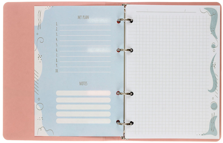 Тетрадь общая А5, 120 л. на кольцах Meshu, 160*210 мм, клетка, Mountcats