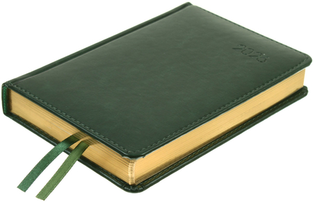 Ежедневник датированный на 2026 год Berlingo xGold (А6), 115*160 мм, 184 л., зеленый