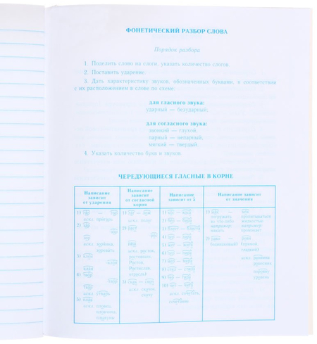 Тетрадь общая А5, 48 л. на скобе «Школьная классика», 165*200 мм, линия, «Русский язык»