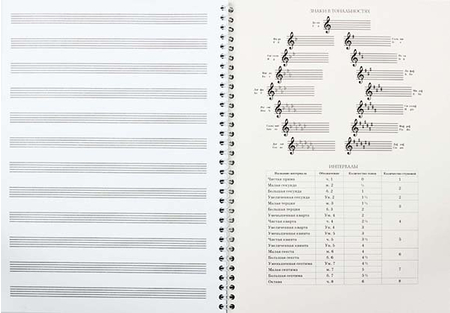 Тетрадь для нот «Скрипка и ноты», 200*279 мм, 40 л.