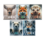 Тетрадь общая А5, 48 л. на скобе BG Wild, 163×202 мм, клетка, ассорти