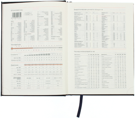 Ежедневник датированный на 2026 год BG Dallas (А5), 150*210 мм, 176 л., синий