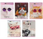 Тетрадь общая А5, 48 л. на скобе «Котики в очках», 163×202 мм, клетка, ассорти