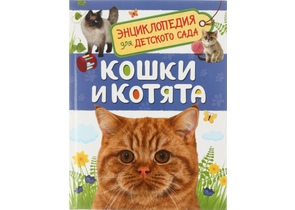 Энциклопедия «Росмэн» «Энциклопедия для детского сада», 165×220 мм, 24 л., «Кошки и котята»