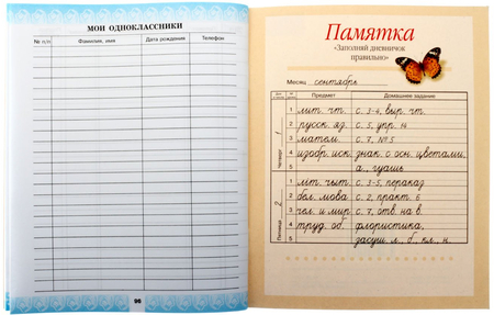 Дневничок школьный «Аверсэв», 48 л., «Дневничок ученицы», для начальных классов