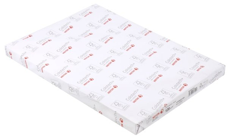 Бумага офисная Xerox Colotech+ Silk coated, SRА3 (450*320 мм), 120 г/м2, 250 л.