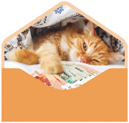 Открытка-конверт для денег «Мир открыток», 90*190 мм, «Бархатный. На исполнение желаний, персиковый» Открытка-конверт для денег «Мир открыток», 90*190 мм, «Бархатный. На исполнение желаний, персиковый»