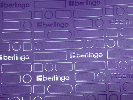 Папка пластиковая объемная 12 отделений Berlingo Your Way, толщина пластика 0,6 мм, фиолетовая