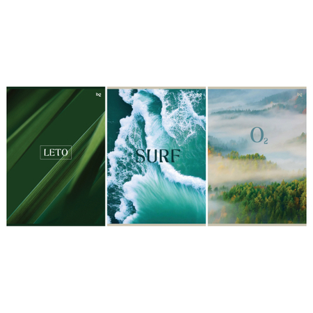 Тетрадь общая А4, 48 л. на скобе BG «Лето», 205*295 мм, клетка, ассорти