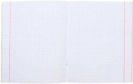 Тетрадь общая А5, 48 л. на скобе «Лесная команда (графика)», 162*200 мм, клетка, ассорти 