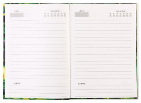 Ежедневник недатированный Sima-Land, 140*200 мм, 80 л., Avocato