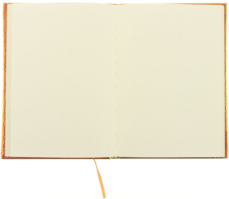 Книжка записная Lorex Iridescent, 145*205 мм, 96 л., оранжевая