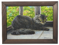 Картина «Кот» №2606 (Джонс А.С.)