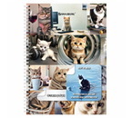 Стикербук-блокнот с наклейками Brauberg «Просто наклей», 105×150 мм, 16 л., 96 цветных стикеров, «Коты мемы»