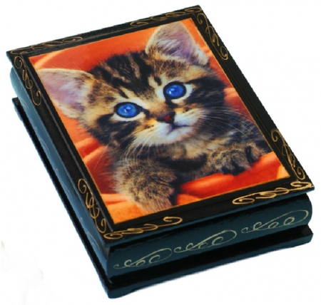 Шкатулка «Голубоглазый котенок», 10*14 см, черная