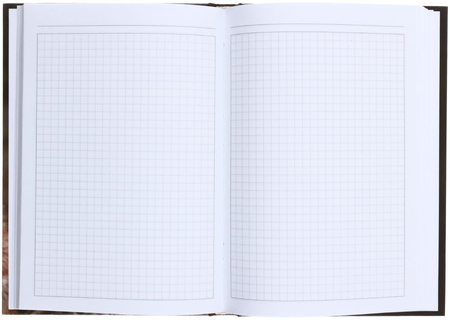 Книжка записная «Канц-Эксмо», 145*210 мм, 130 л., клетка, «Живая планета. Дикая кошка» Книжка записная «Канц-Эксмо», 145*210 мм, 130 л., клетка, «Живая планета. Дикая кошка»
