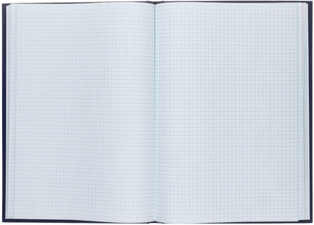 Книга учета Brauberg, 200*290 мм, 96 л., клетка, синяя Книга учета Brauberg, 200*290 мм, 96 л., клетка, синяя