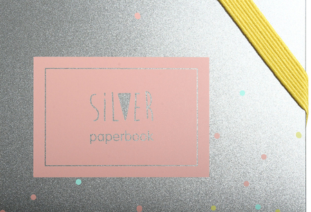Ежедневник недатированный Milan, 138*210 мм, 208 л., Silver Pink, серебряный