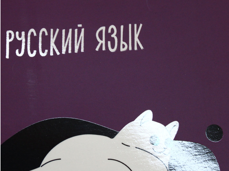 Тетрадь предметная А5, 48 л. на скобе «Комус Класс «Котики», 162*200 мм, линия, «Русский язык»
