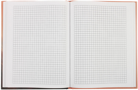 Книжка записная «Бизнес-блокнот» BG А5 (80 л.), 165*215 мм, 80 л., клетка, «Милый пушистик»