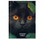 Книжка записная А6 «Взгляд черного кота», 106×150 мм, 96 л., клетка Книжка записная А6 «Взгляд черного кота», 106×150 мм, 96 л., клетка