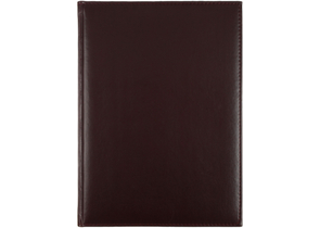 Ежедневник датированный на 2026 год «Каньон» (А4), 200×270 мм, 176 л., бордовый